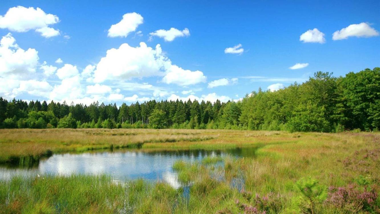 Comfortabel Chalet In Nationaal Park Wateren Luaran gambar