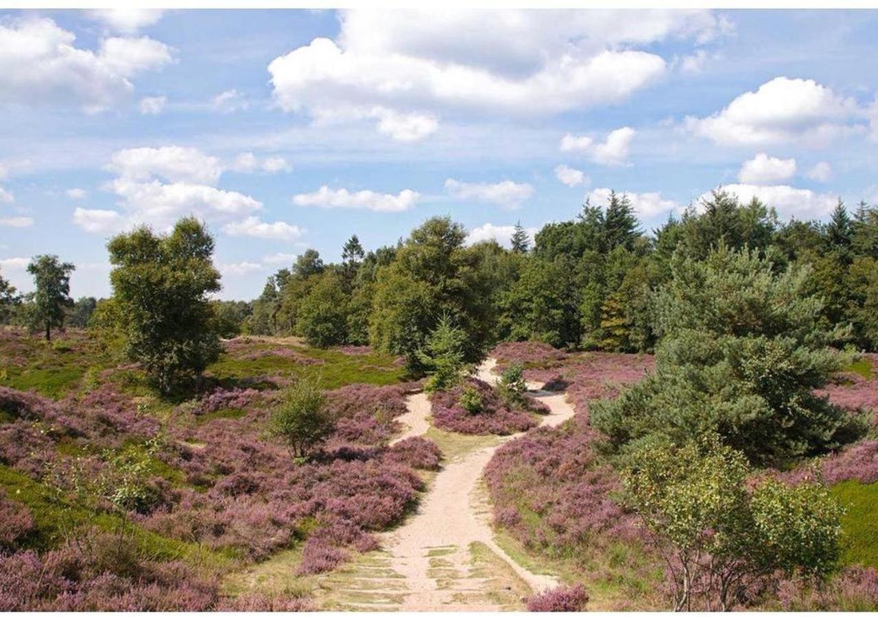 Comfortabel Chalet In Nationaal Park Wateren Luaran gambar